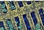 "Potente" detail